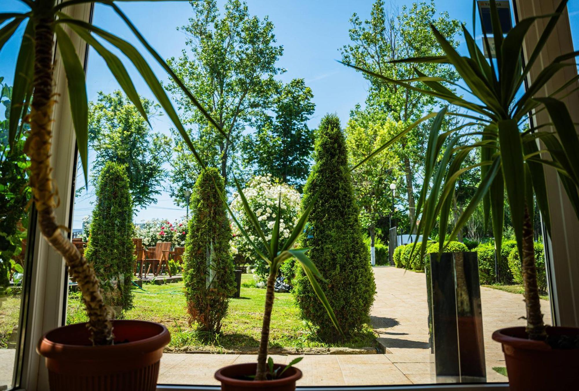 Complex Vraja Marii Costinesti Ξενοδοχείο Εξωτερικό φωτογραφία